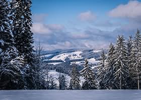 MoMo美女写真两套合集下载2.39GB