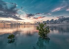 MoMo美女写真两套合集下载2.39GB